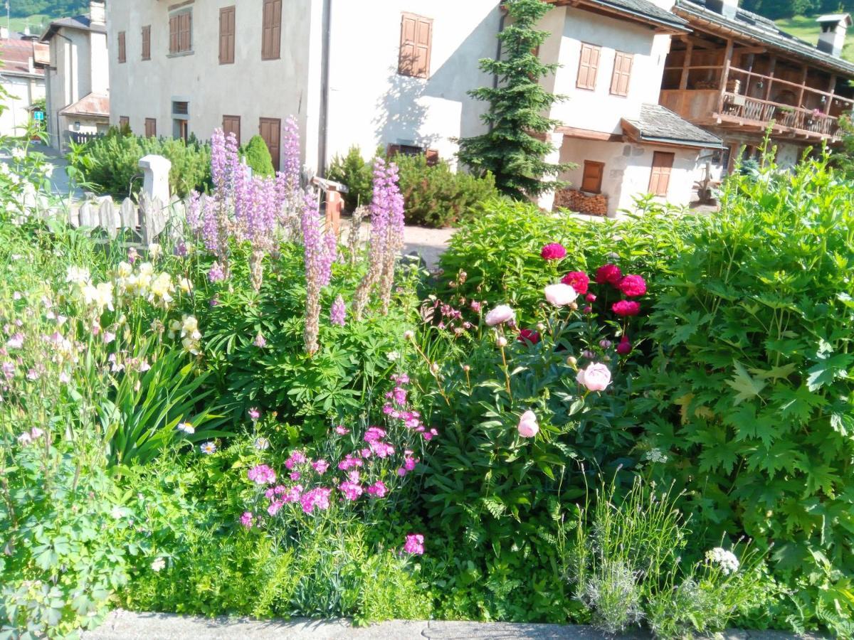 Appartamento Da Carla Dolomiti Val Di Zoldo Esterno foto